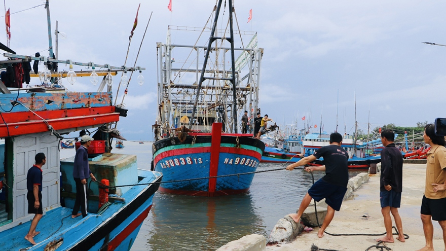 Quảng Ngãi: Tạm dừng tuyến vận tải khách Sa Kỳ- Lý Sơn, cấm tàu thuyền ra khơi